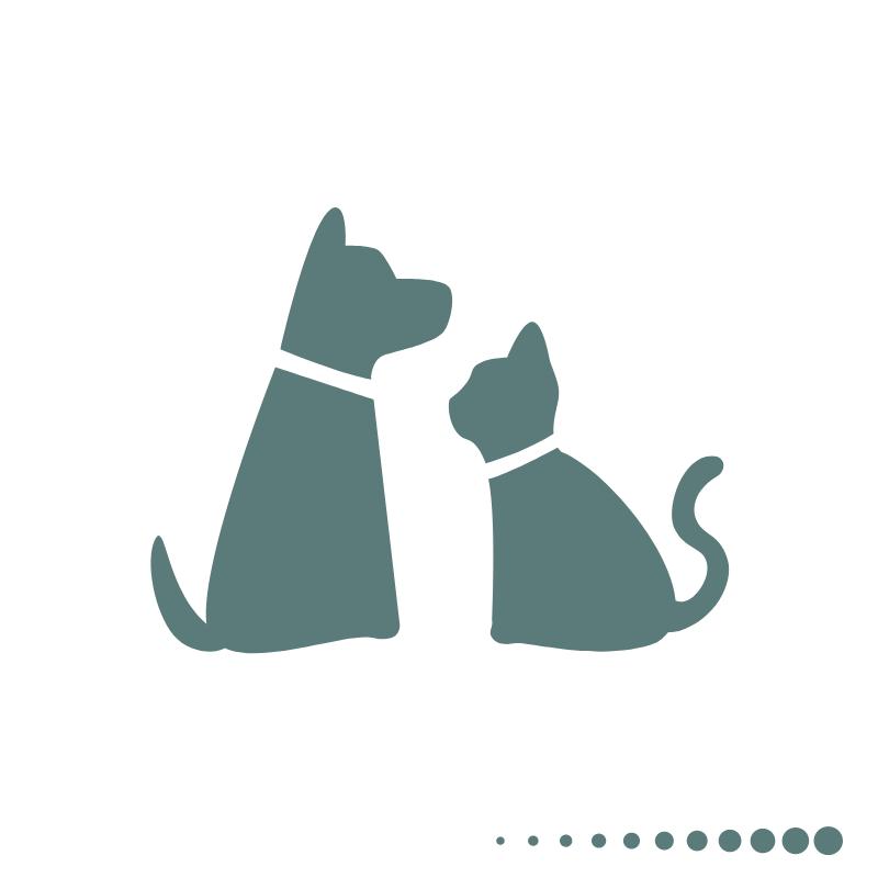 Mascotas