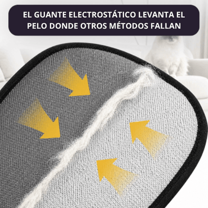 Guante Quita Pelos + Pelota Inteligente